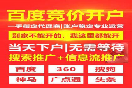 企业SEM服务实战案例解析